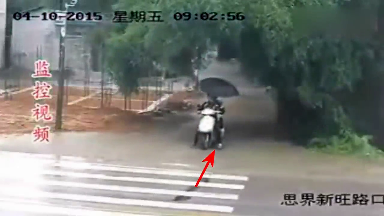 电动车女子怎么也没想到，自己一个小举动把全家都害了！