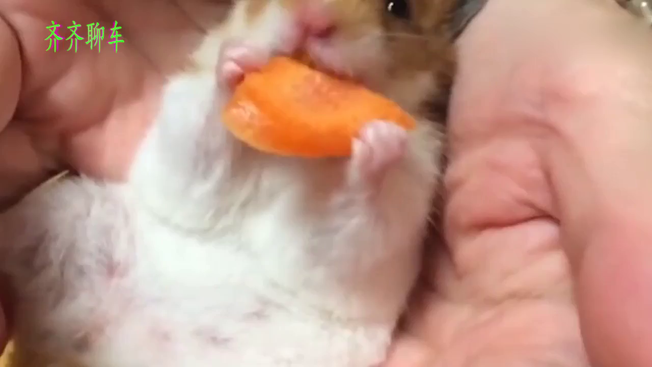 女司机骑电动车逆行被查，反手泼口怒踢交警，事后让她后悔莫及！