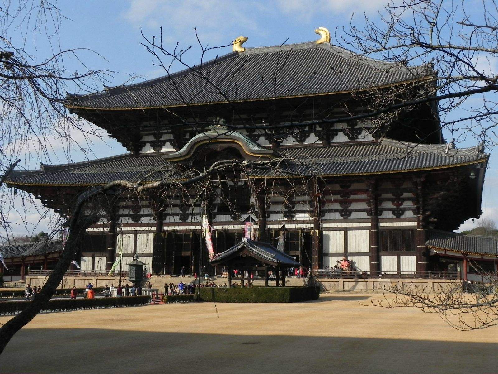 国内找不到的唐朝风格建筑,日本竟保存了1200年,归功一个人