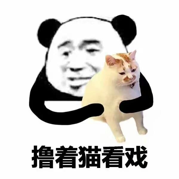 再丑的猫咪也有春天,这只肥猫的表情包绝了