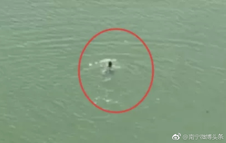 又有人跳江!网曝南宁青川大桥有男子跳江了
