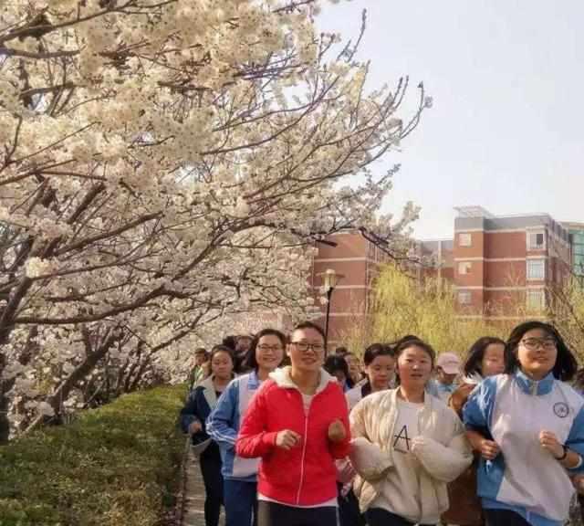 信阳高级中学:奋进还是好,不负当兵时(图)正是春光上大专高中生图片