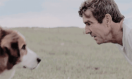 没想到这片,又一次让我哭成了傻逼