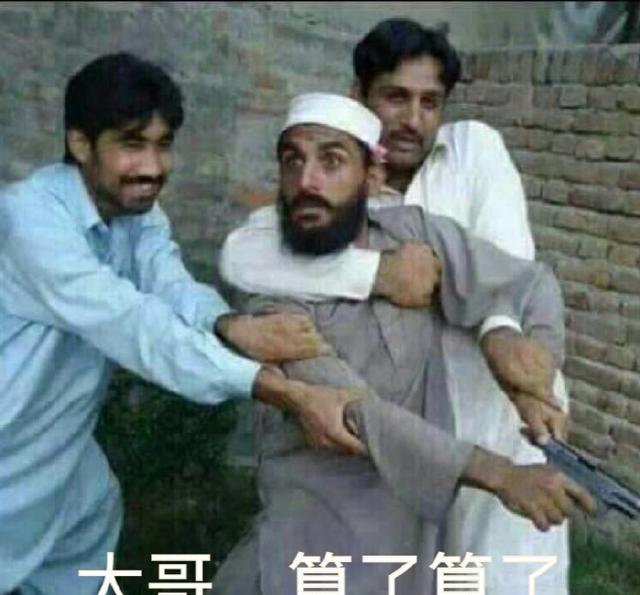 算了算了系列表情包来袭~