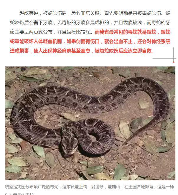 近来雨水多,山西多人被蛇咬伤,全省急救电话公布