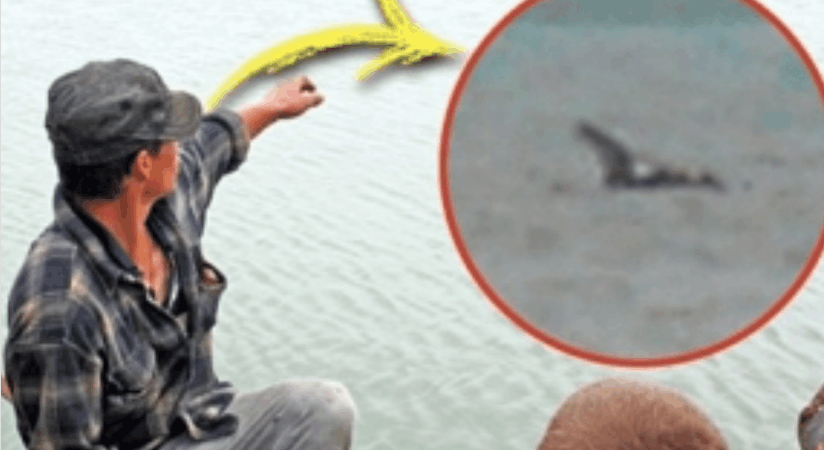 世界十大未解之谜: 真的有水怪吗? 他们拍到了! 一起来看看