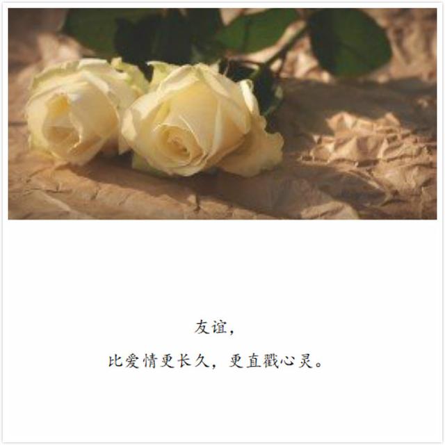 以后,望你安望我好,各自安好勿念勿扰——那些让人心碎的句子