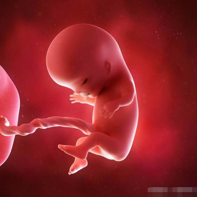 怀孕几个月,能看出胎儿是男是女?其实这时候不