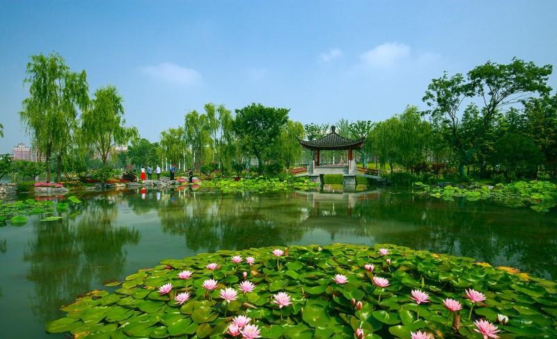 武汉最适合约会的好地方.前提你要有一个技术