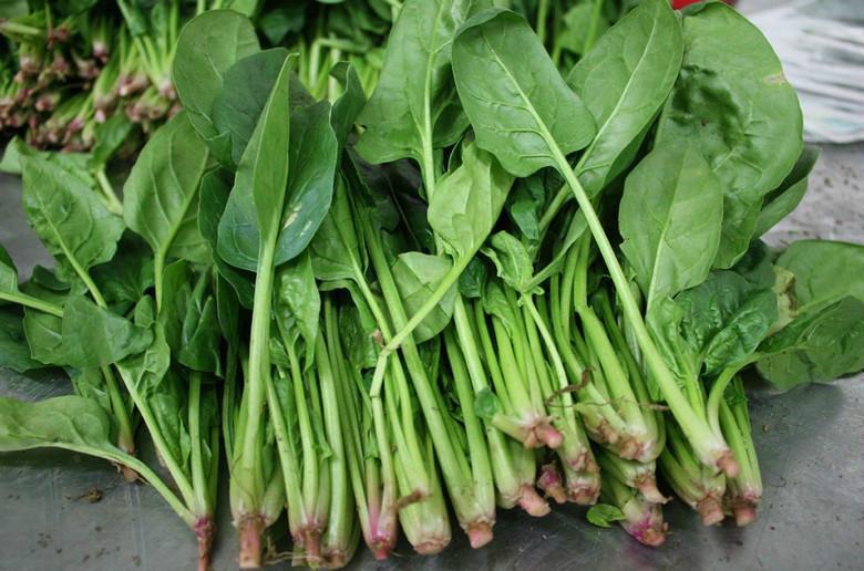 如果发现得了慢性肾炎,适合吃什么蔬菜呢?