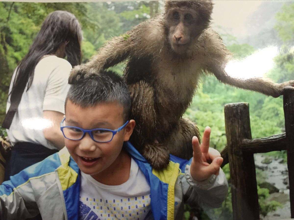 一招对付调皮猴子的方法,百试不爽!