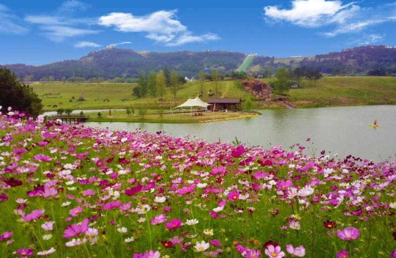 武汉最适合约会的好地方.前提你要有一个技术