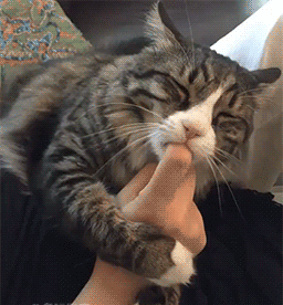 小伙竟然会水上漂,看到最后我笑了,爆逗二货