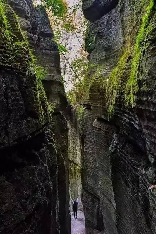 绥阳十二背后,贵州又一个世界级景区,纯正中国山地旅游代表