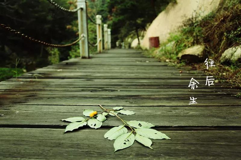 往后余生都是你，只愿去自己想去的那座大山