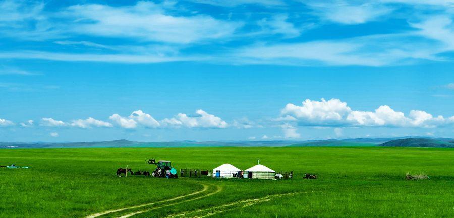 "牧草王国"呼伦贝尔大草原