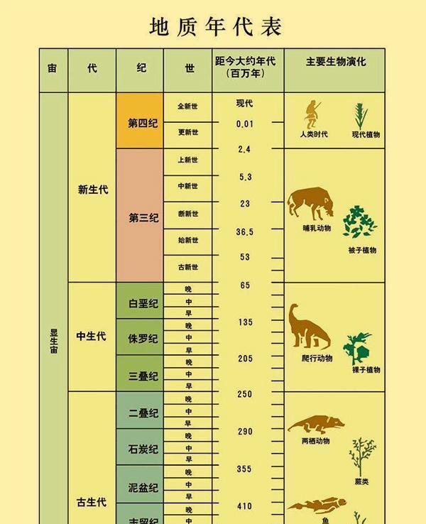 地球经历了哪几纪?分别都是什么?