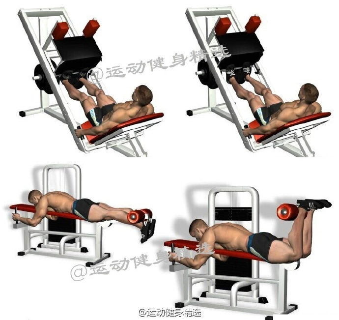 史上最全,健身房14种腿部训练方法,还不知道怎