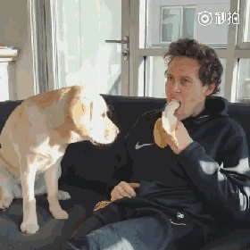 280_280gif 动态图 动图