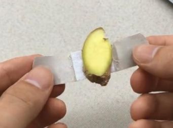 生姜抹在脚上太a生姜了,活了28年知道,看完赶紧去试试!手动搅机器的大蒜图片