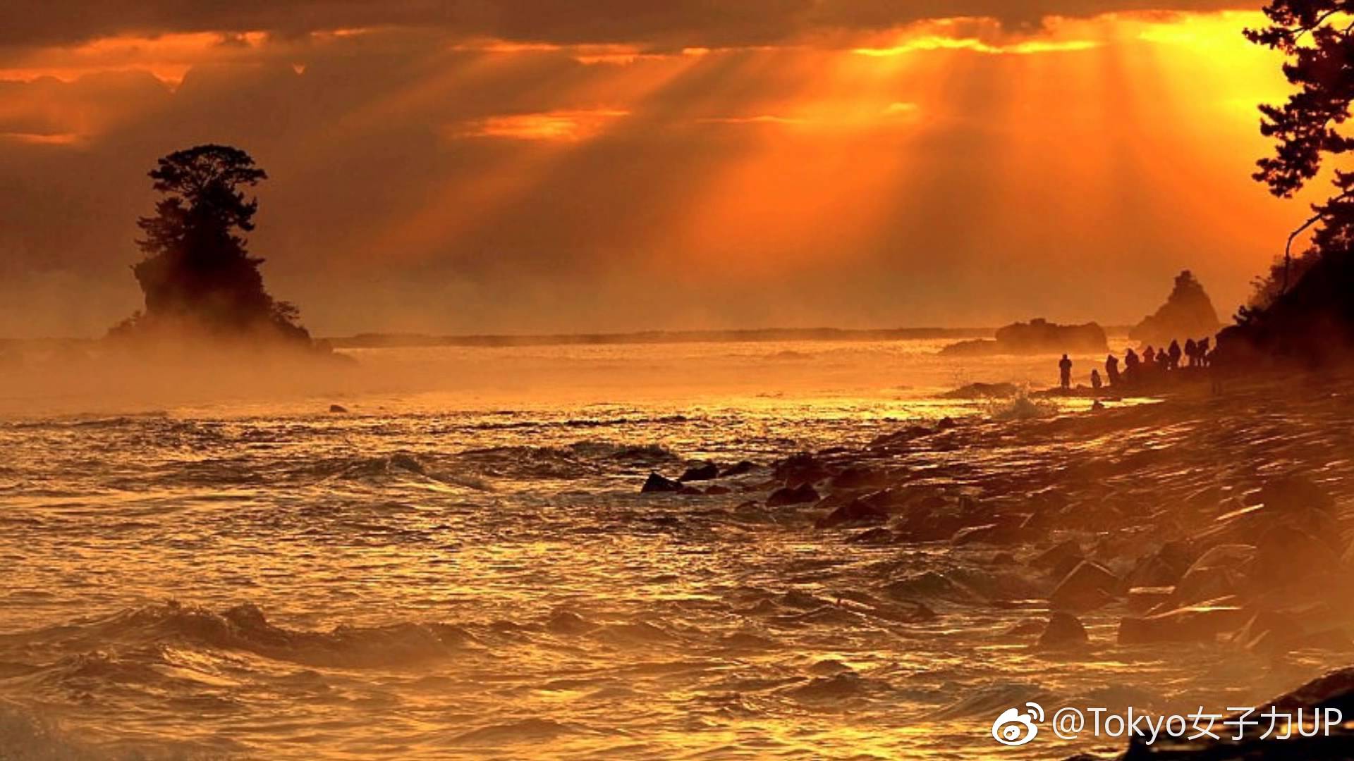 海岸 雨晴