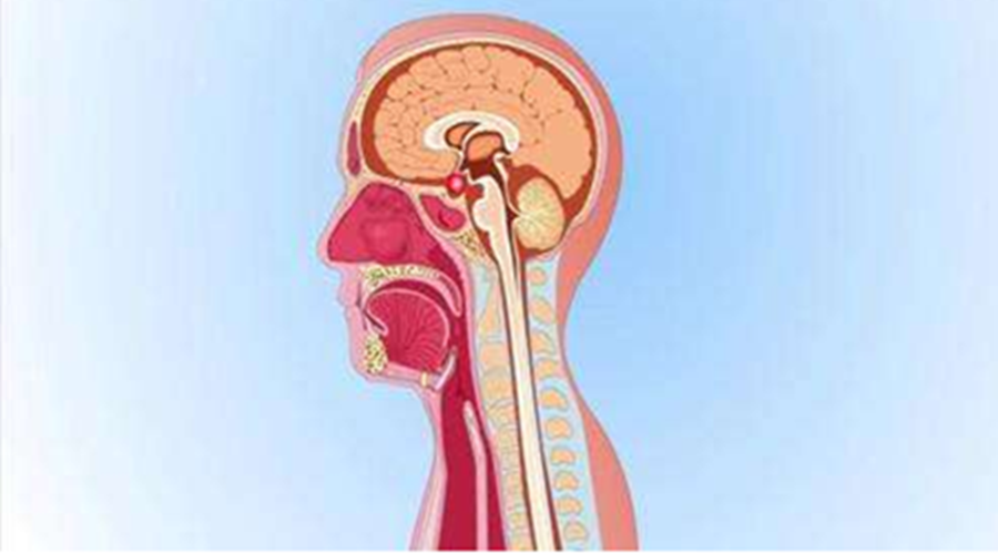 孩子突然头痛呕吐?他可能不是感冒,要当心这个