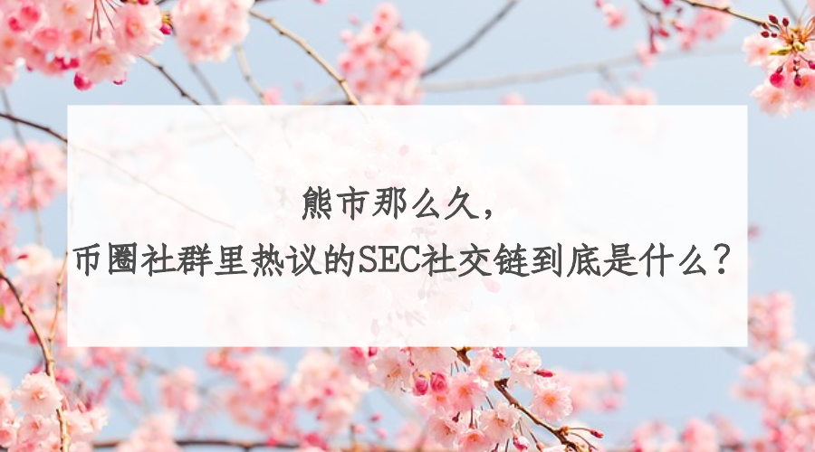 熊市那么久，币圈社群里热议的SEC社交链到底是什么？