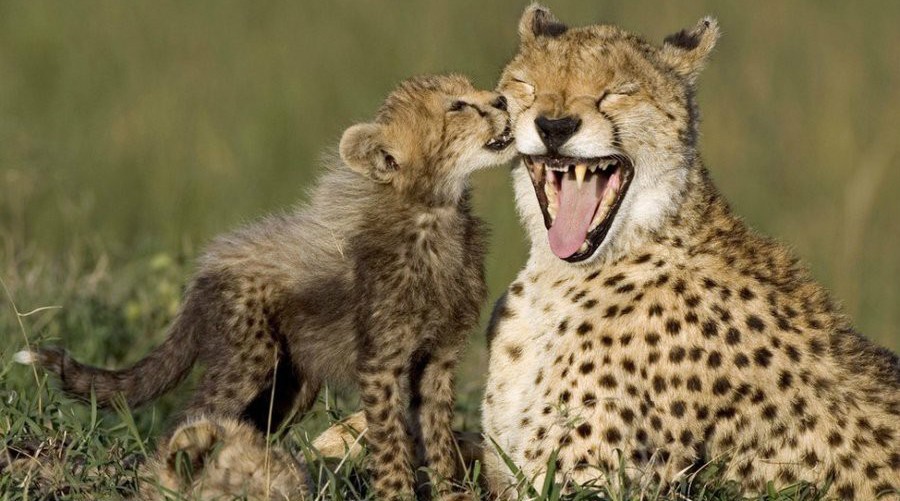 给大家分享一个真实的故事, 充满亲情, 感人肺腑