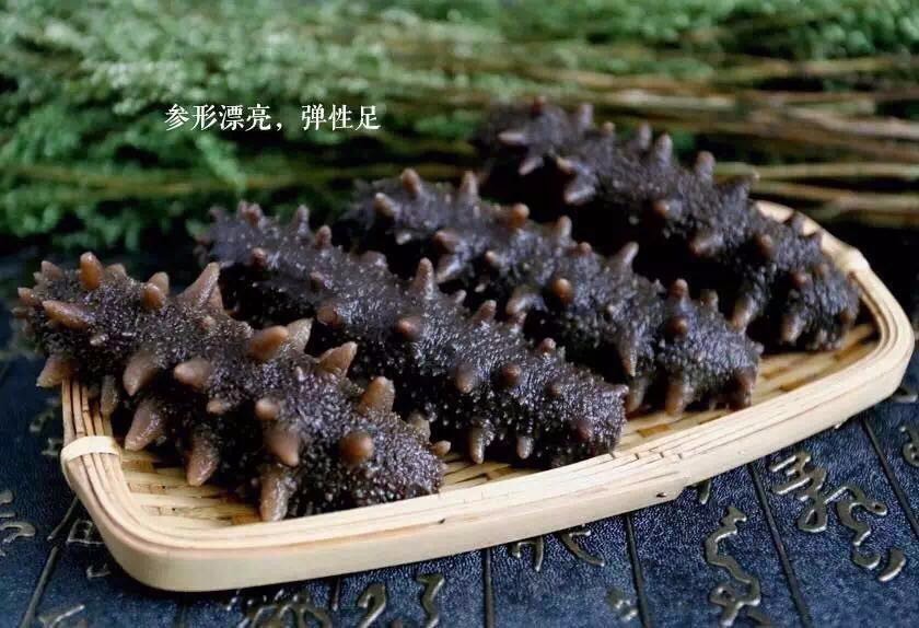 为什么说“光参”是菜,刺参是药?