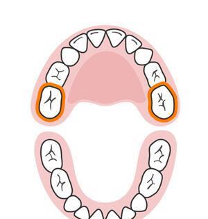 宝宝有这些症状不是生病,可能是长牙了(附换牙