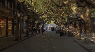 399_219gif 动态图 动图
