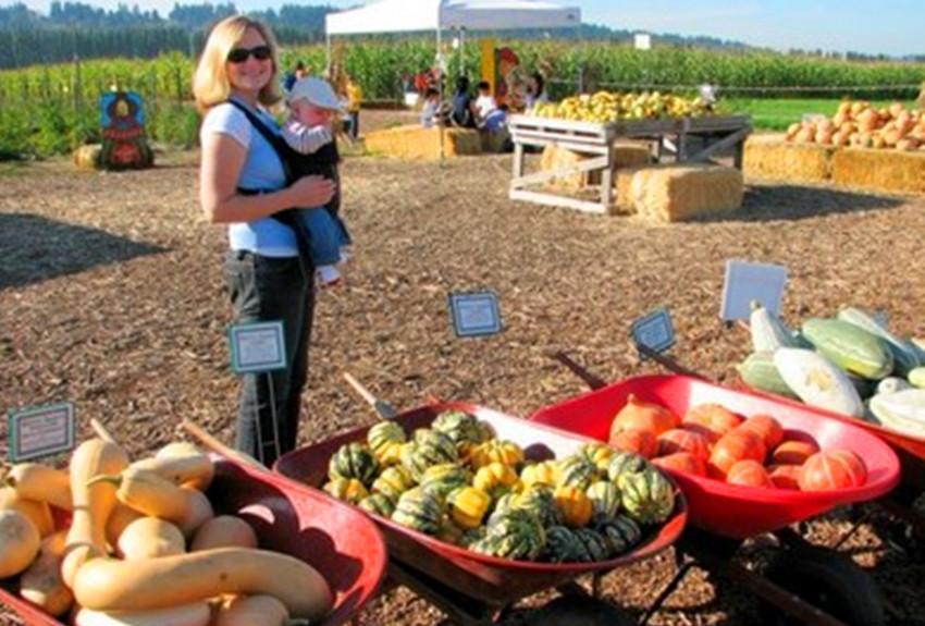 实拍美国农村的真实面貌, 农业机械化运作, 农村