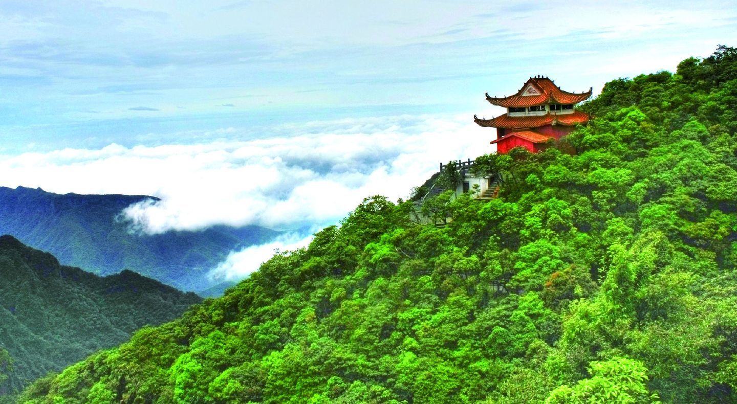 避暑好去处，浙江高山原始森林“龙泉山”