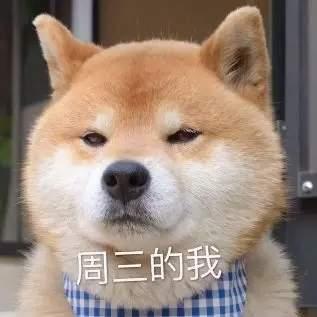 一周七天狗表情包周一的我周二的我周三的我周六的我