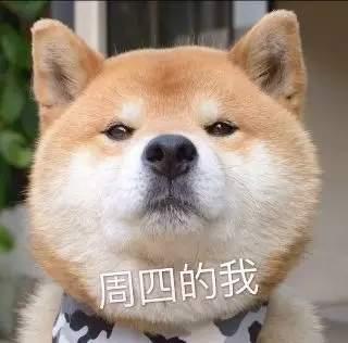 一周七天狗表情包周一的我周二的我周三的我周六的我