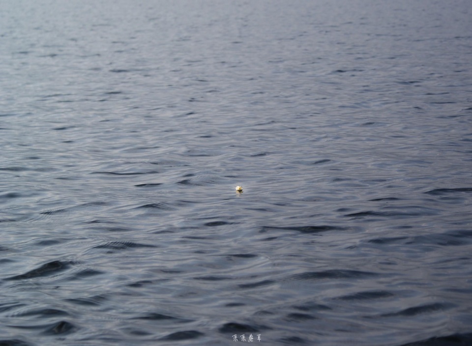 猪槽船上观草海 晨光幻色泸沽湖