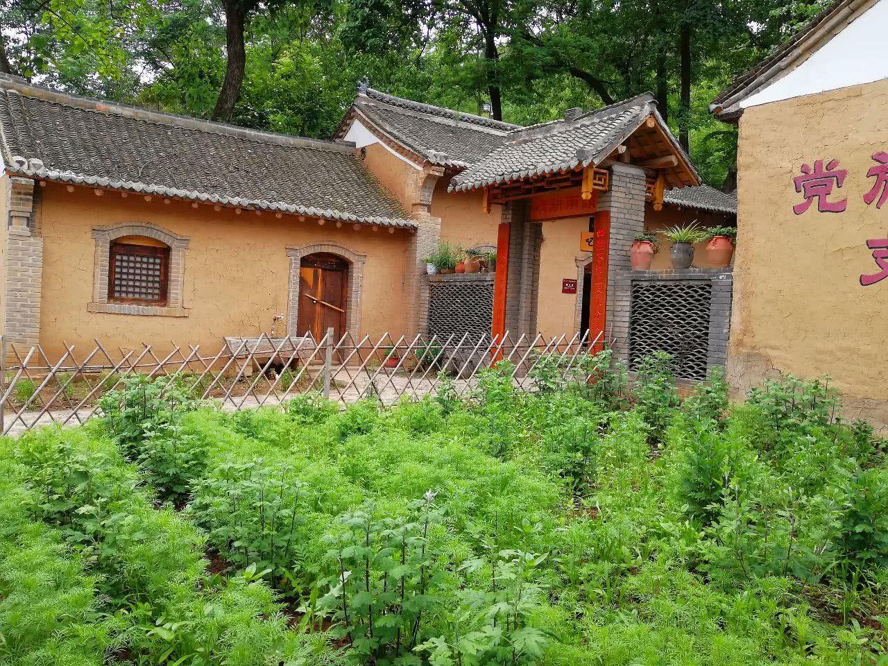 水壶为何能悬浮在半空中?还一直流水?原理很