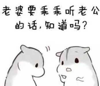 哄老婆表情包:老婆大人对不起,好喜欢老婆,我老婆超级