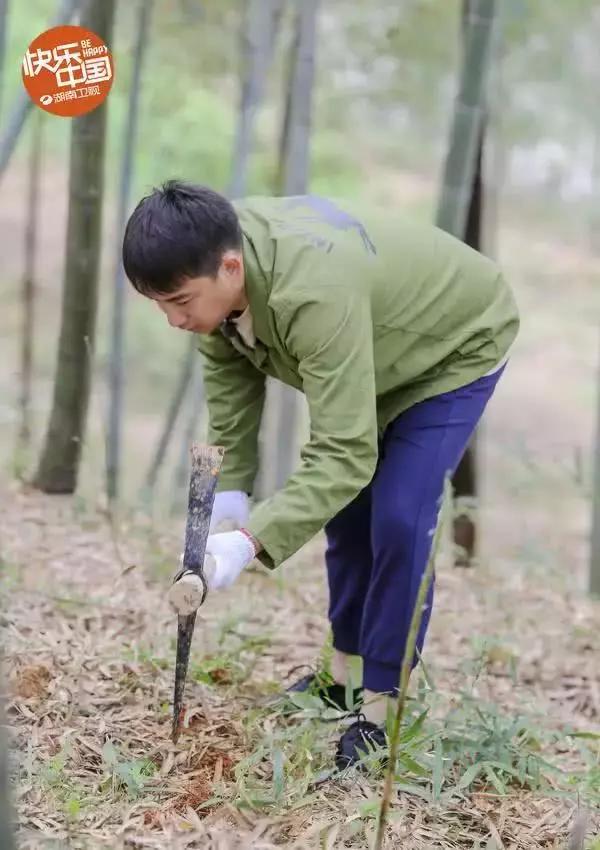 向往的生活嘉宾片酬排行,最大赢家却不是最繁