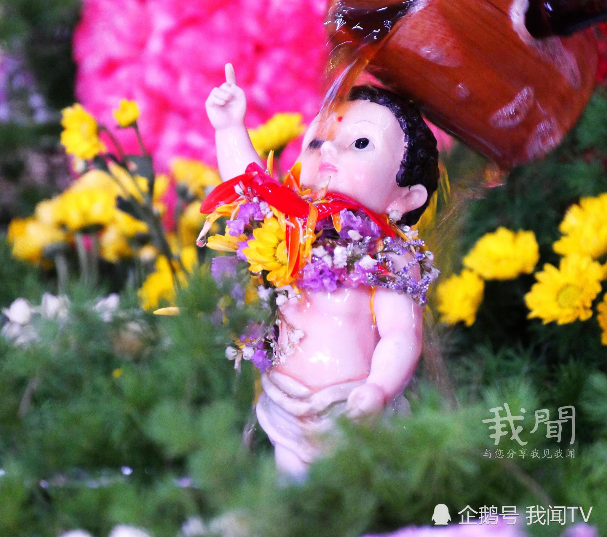 八佛诞节,看看佛教徒如何为佛祖庆祝生日