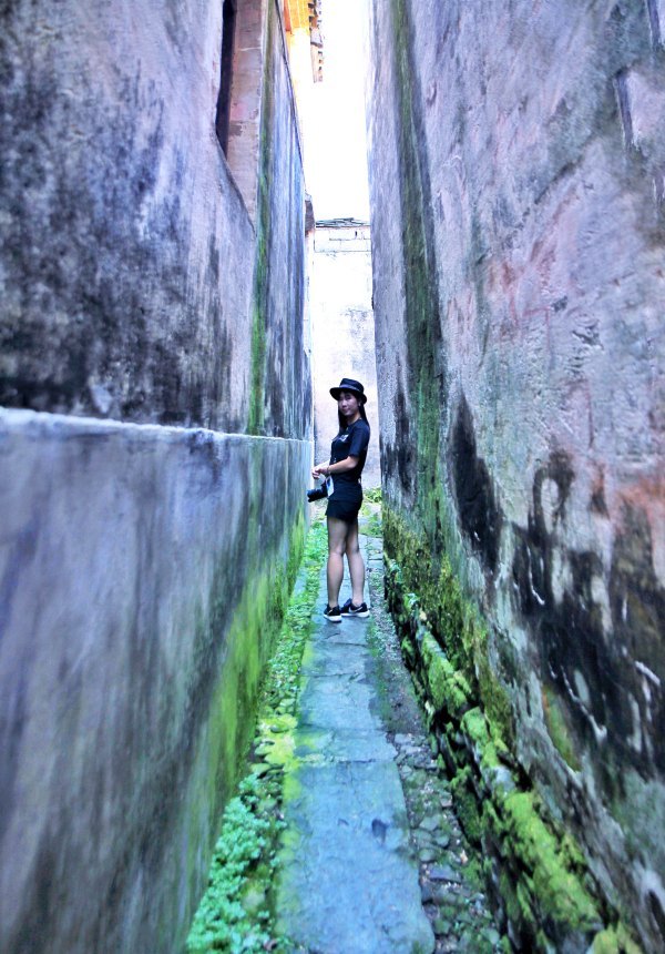 这里的人们,穷不丢书,富不丢猪