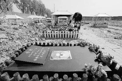 惊天暴利!鲜为人知的宠物殡葬行业内幕,想创业