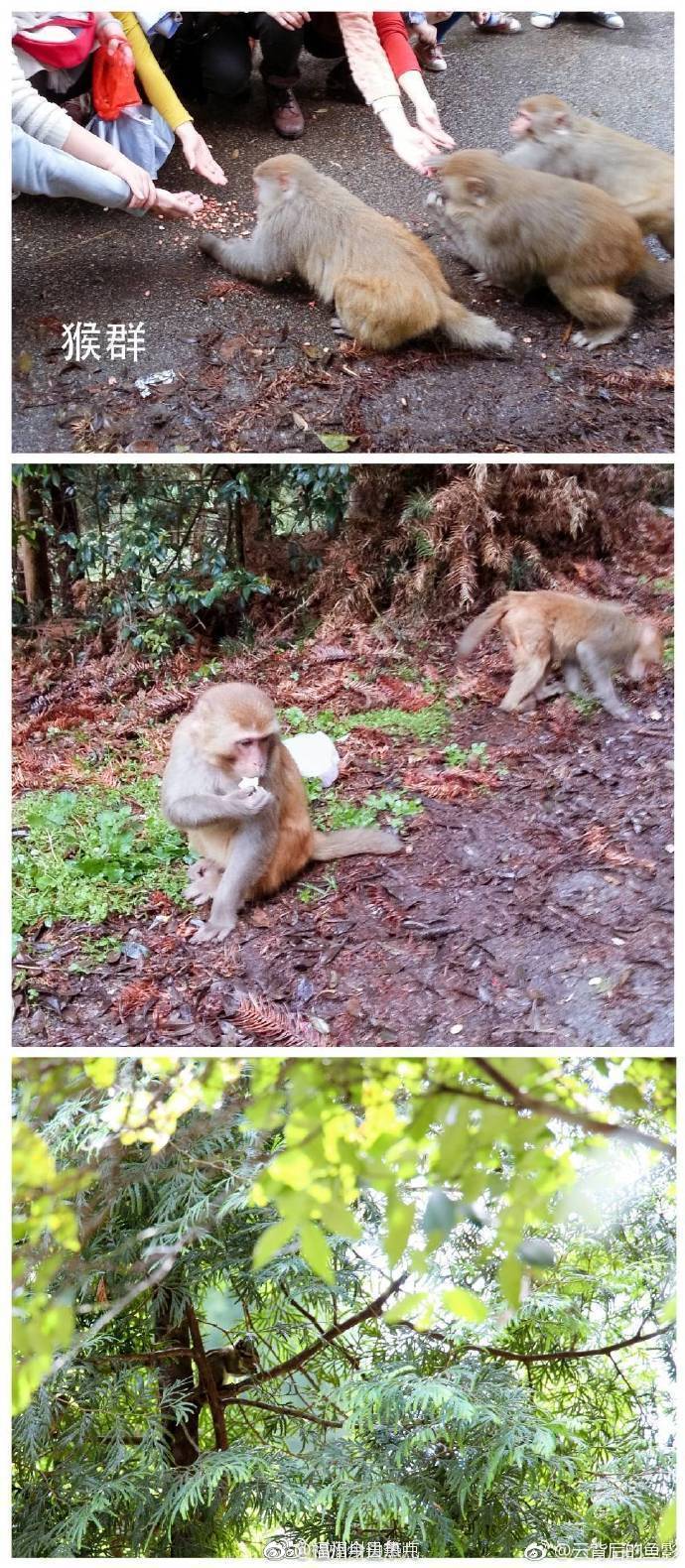 福州旗山森林公园游玩攻略