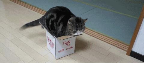 装X利器！有这几个配置 保你的车巨有面子！