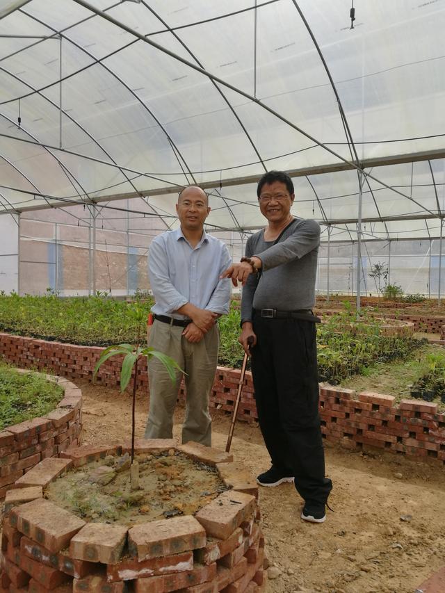 有志青年回归农村 瞄准乡村振兴、生态农业发