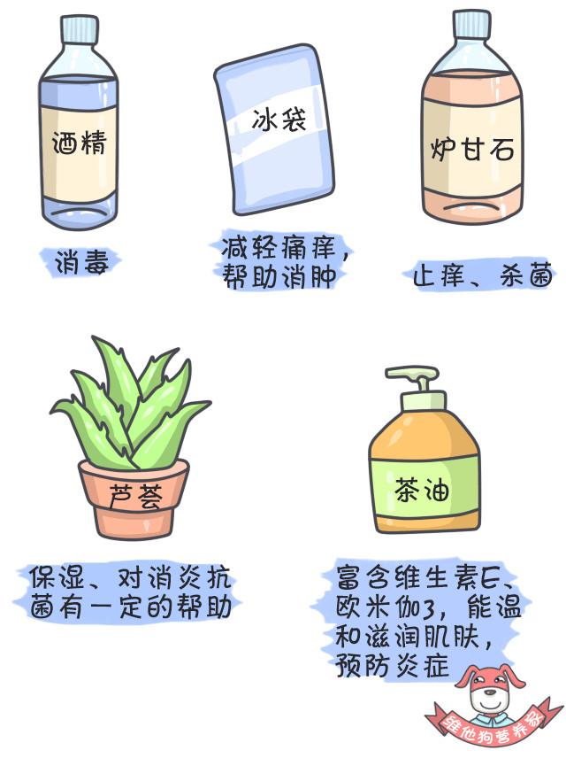 嗡嗡嗡痒痒痒?一篇漫画让你看懂蚊子真相,从此