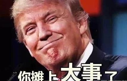 表情大帝特朗普的搞笑表情包, 名不虚传