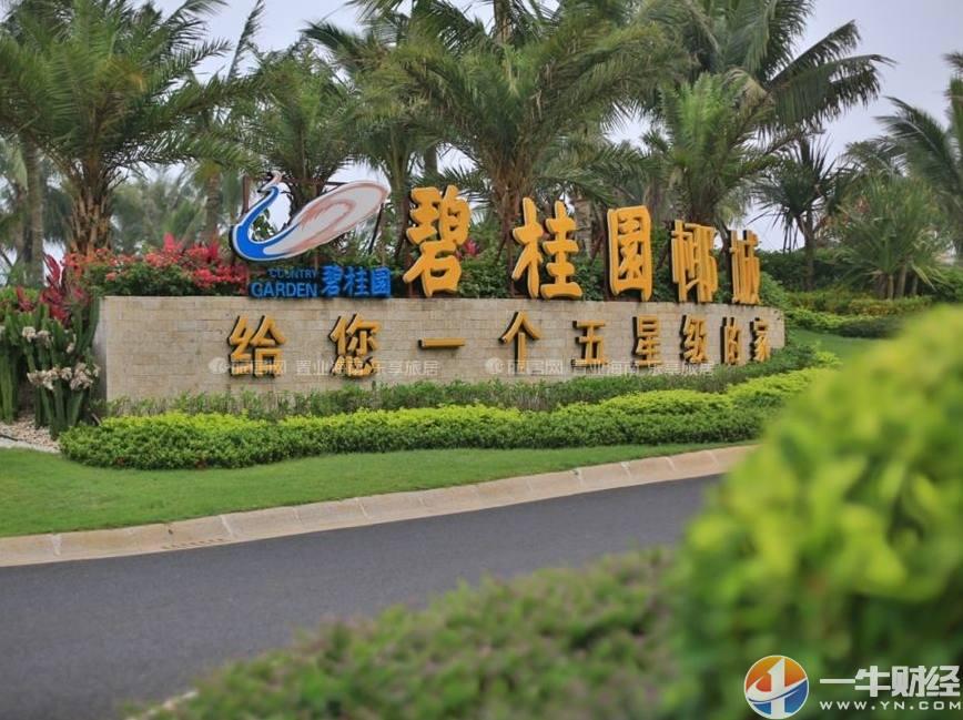 资金链出问题?碧桂园200亿公司债再被中止,中