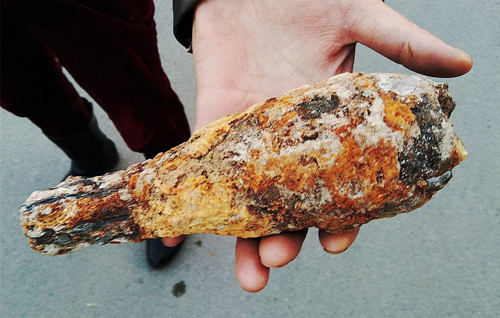 农民小伙在院子里挖出稀罕物,不知是啥,要找专