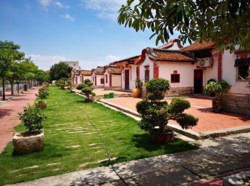 福建农大金山学院师生赴龙海田头村实践 校地